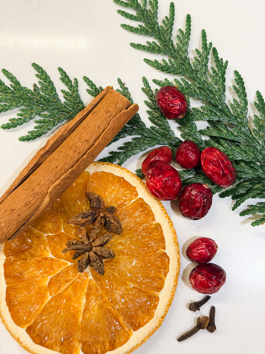 Holiday Simmer Pot